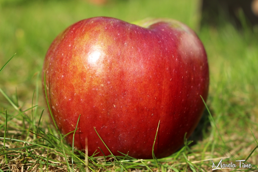 Jablko-cholesterol