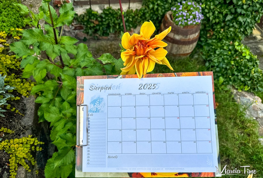 <strong><noscript><img class=